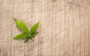 Cannabis Legalisierung