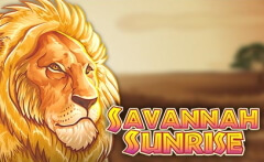 Savannah Sunrise Amaya