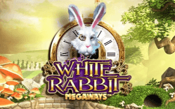 Fazit zum White Rabbit Spielautomaten