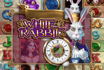 Hintergründe zum Entwickler und White Rabbit Slot